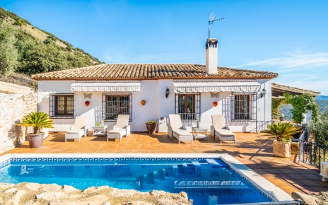 Zona de piscina con tumbonas y toldos